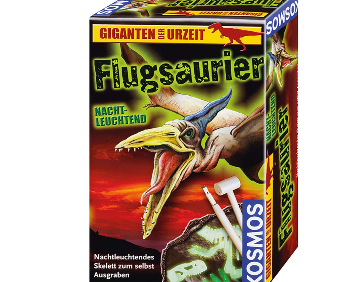 Nachtleuchtender Flugsauerier