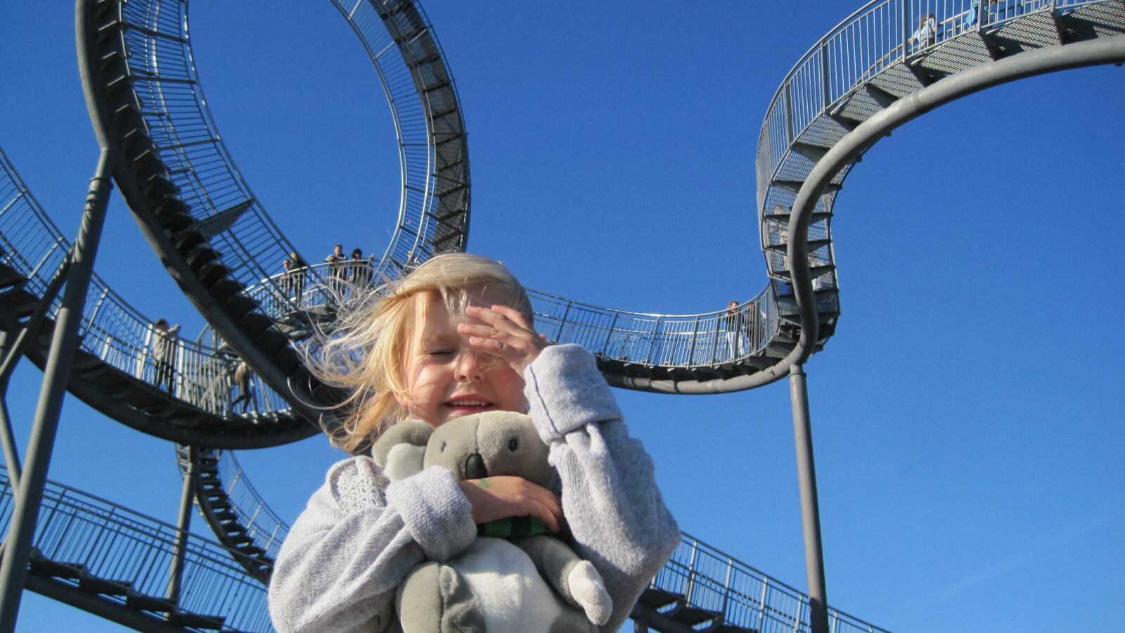 tiger and turtle