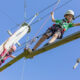 Alpenpark Neuss Kletterpark