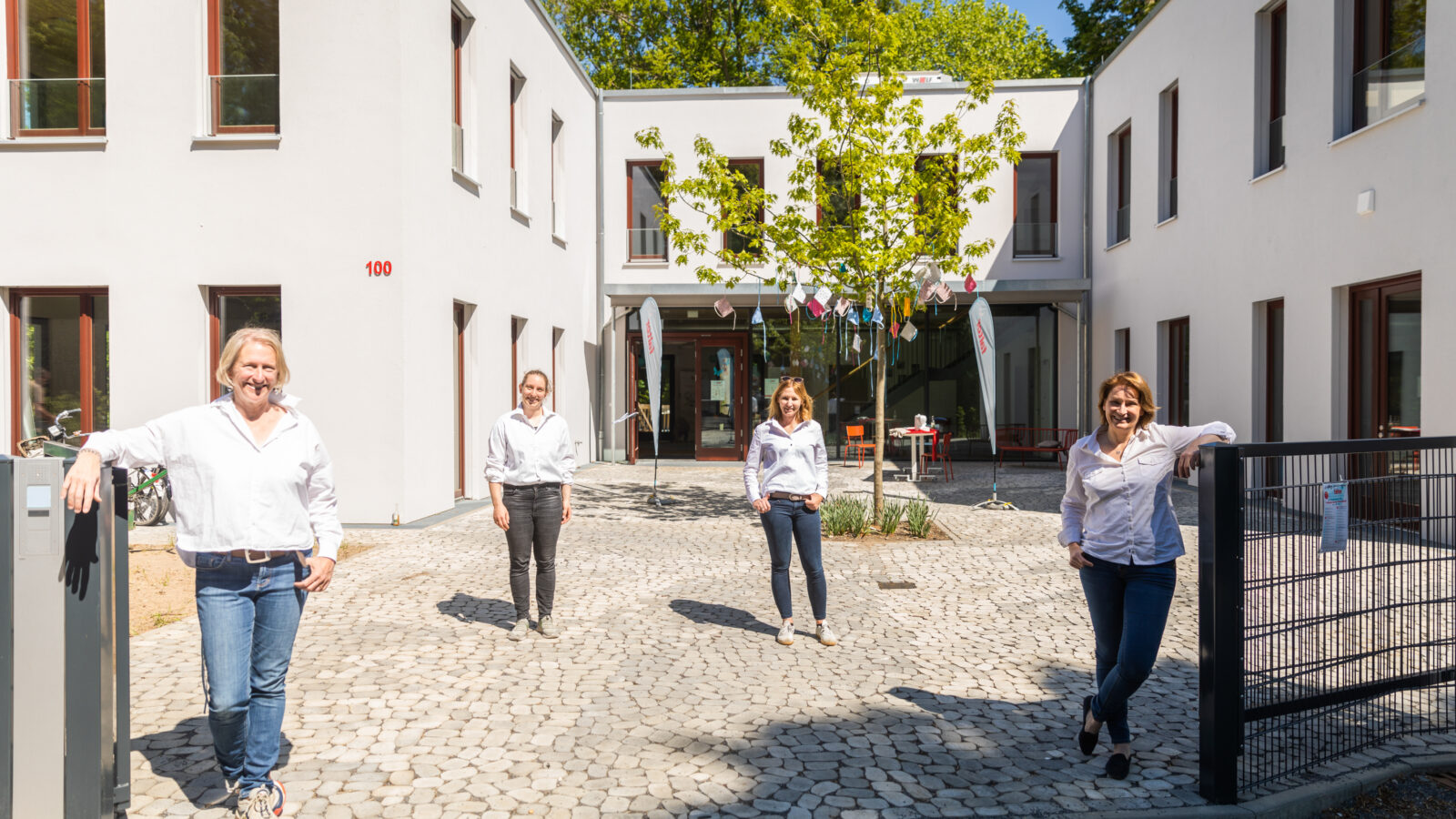 Kiwifalter (Tanja Neuss, Knusperfarben Fotografie Düsseldorf