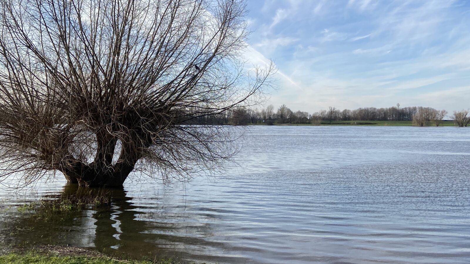 Hochwasser-Ausflug an den Rhein