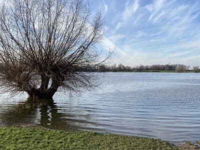 Hochwasser-Ausflug an den Rhein