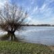 Hochwasser-Ausflug an den Rhein